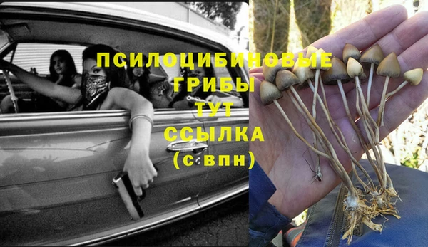дмт Алзамай