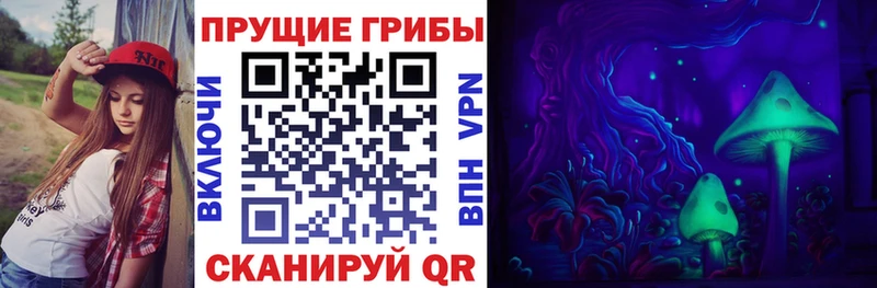 мега   Троицк  Псилоцибиновые грибы мицелий  даркнет сайт 